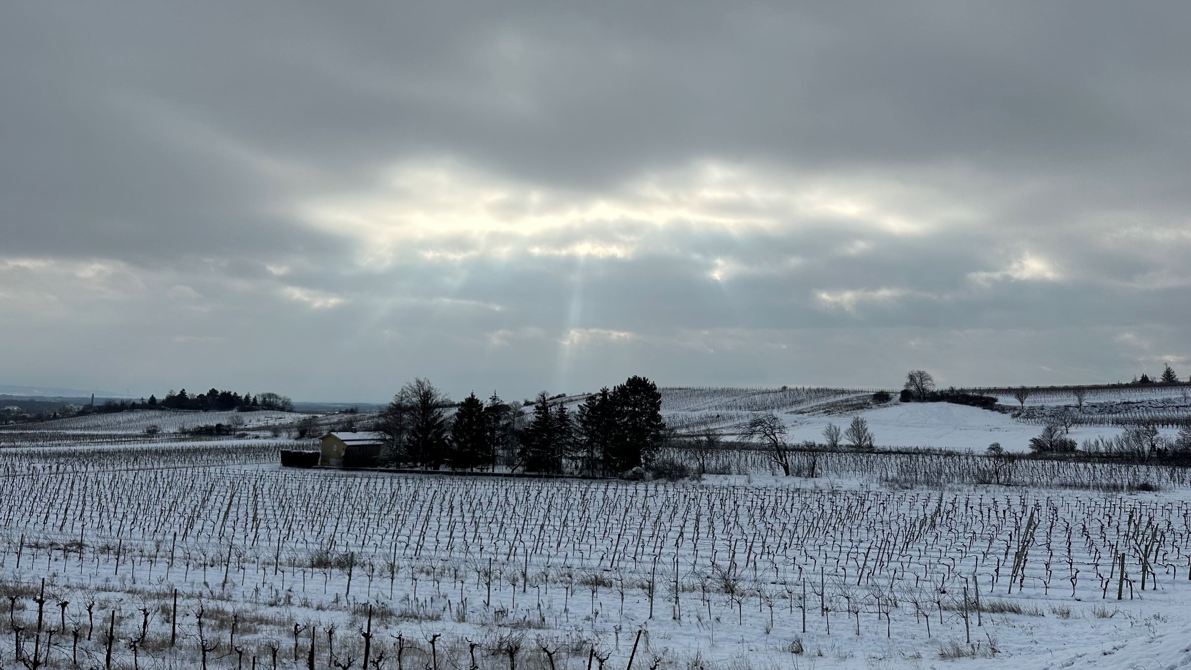 Unsplashed background img 3